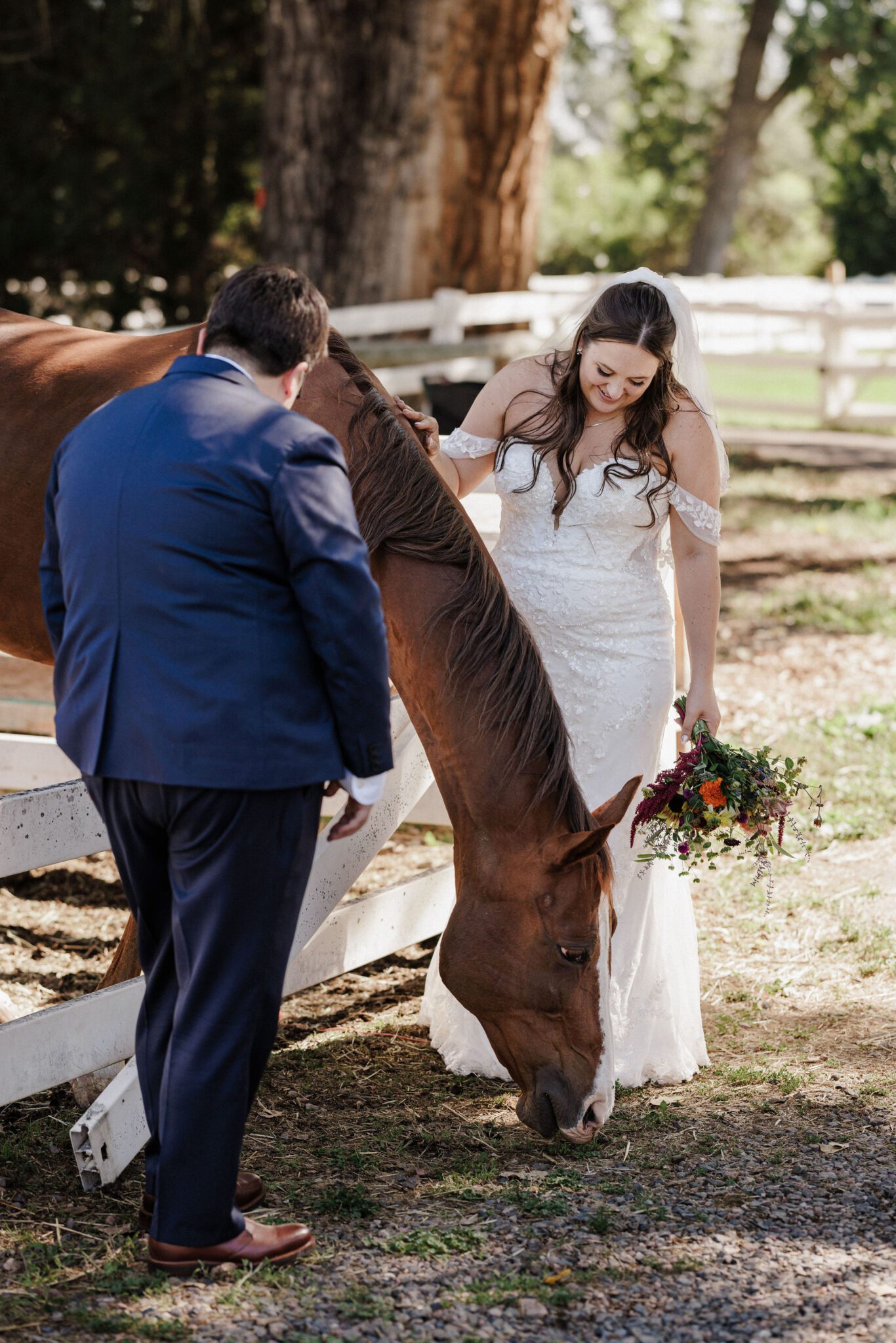 two brides pet a horse during their rustic wedding photos in colorado