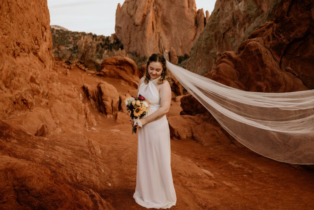 bride stands with veil in the wind during wedding portraits at garden of the gods.