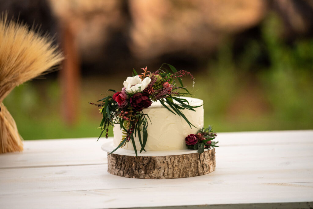 cake made by The Makery for a colorado micro wedding at river bend.