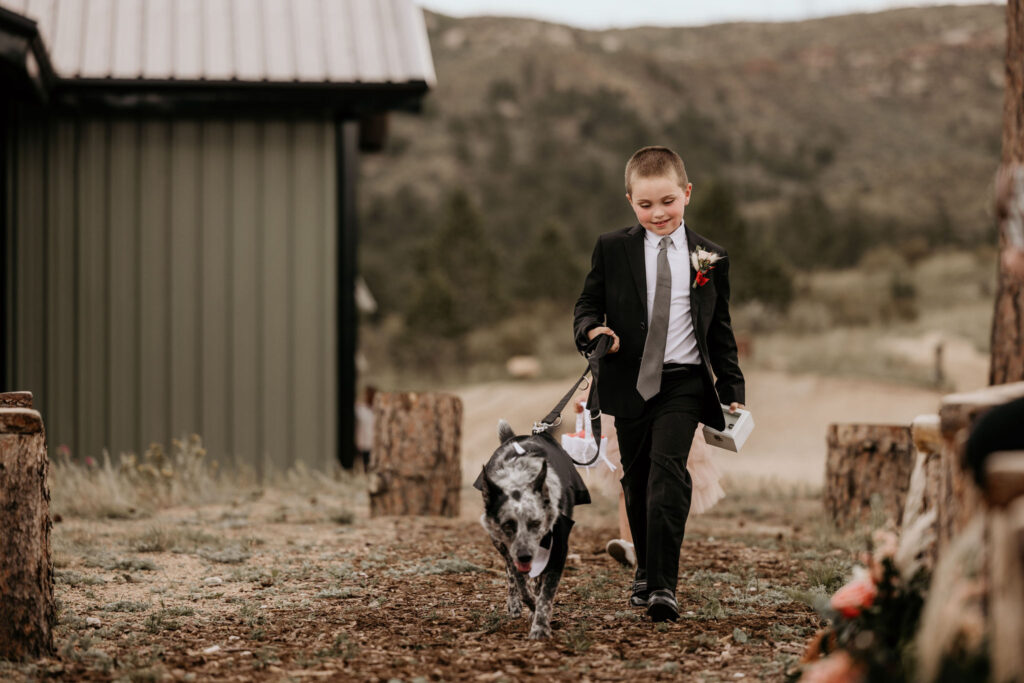 boy brings dog down the aisle during colorado micro wedding ceremony.