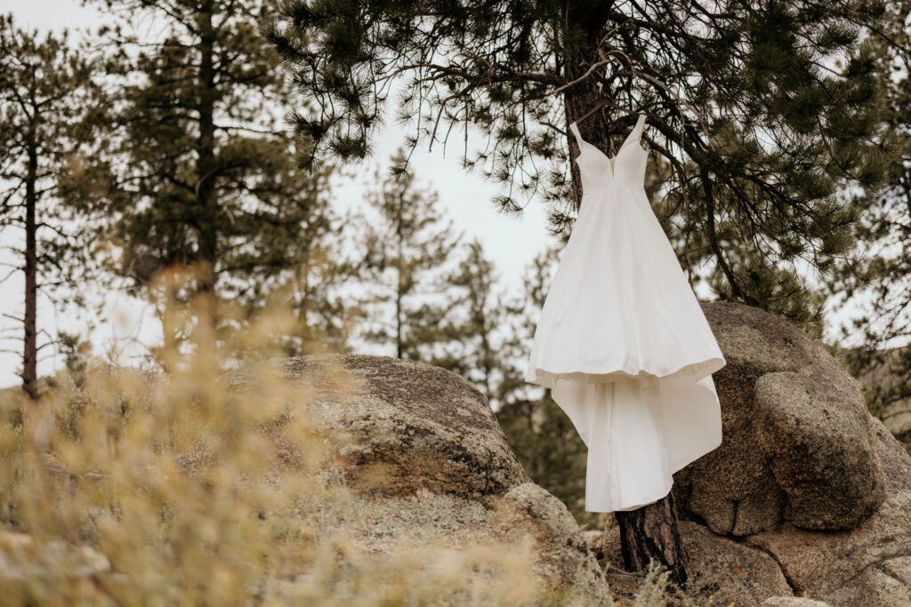 dress hangs on branch outside during mountain top micro wedding in colorado.