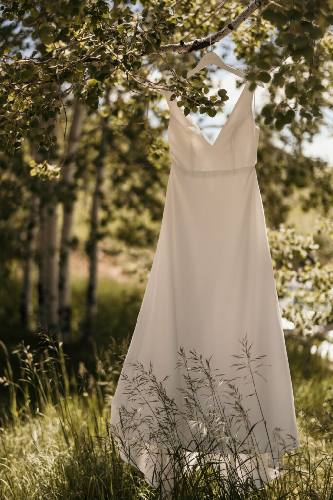 wedding dress hangs on a branch, with sunny trees in the background, during summer micro wedding in colorado.