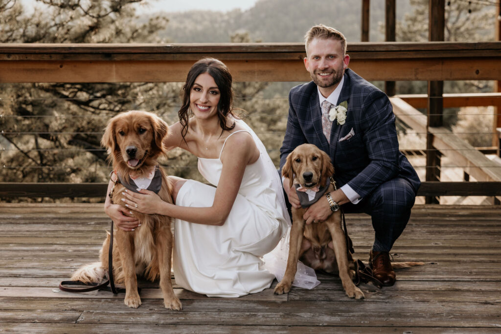 bride and groom pose for photographer with their two golden retrievers.