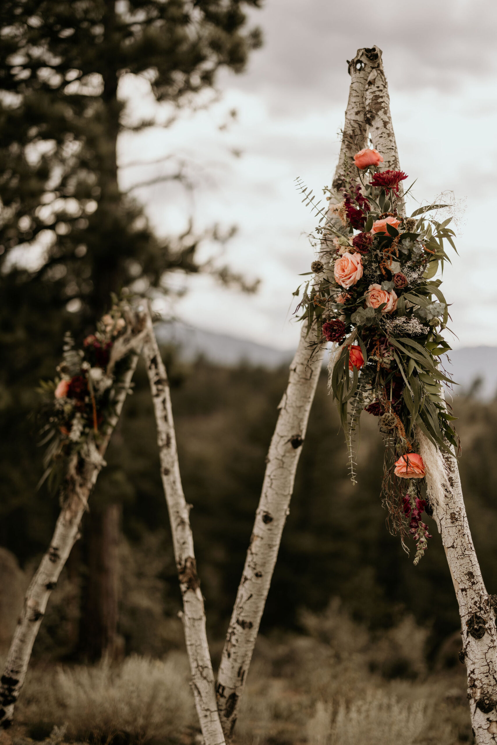 close up image of florals on a micro wedding arch.