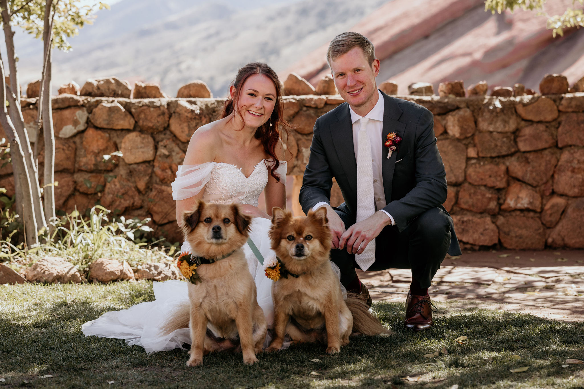 bride and groom pose with dogs at micro wedding at red rocks.