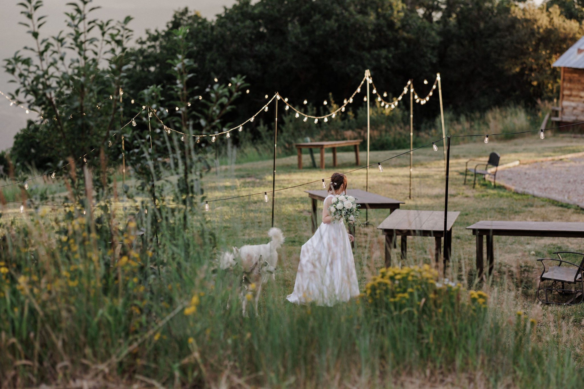 bride and dog walk around yard at airbnb micro wedding venue in colorado