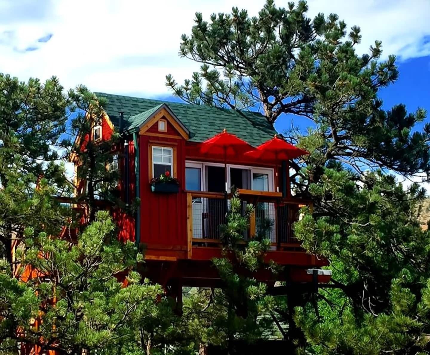 little treehouse stands as a colorado airbnb micro wedding venue less than an hour from denver