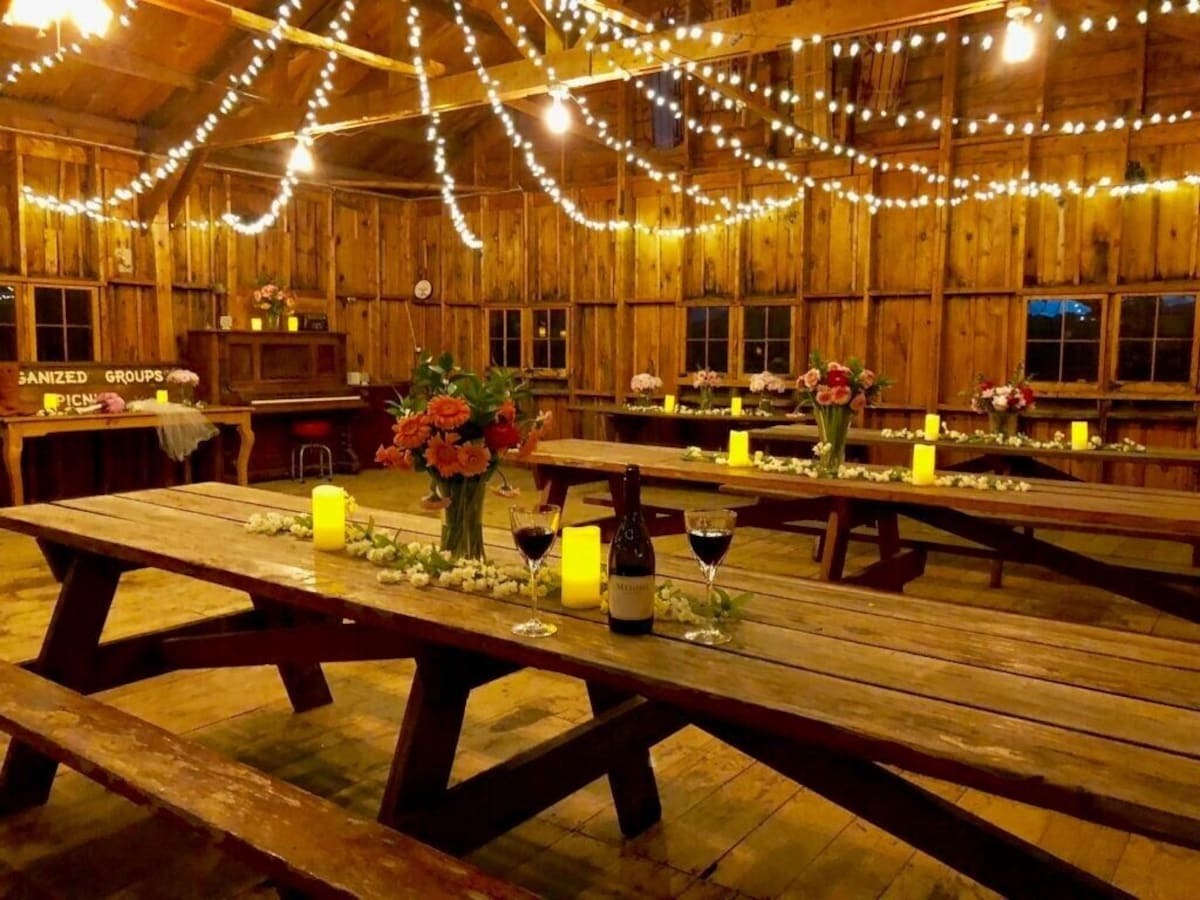 reception space with string lighting set up at colorado vrbo micro wedding venue