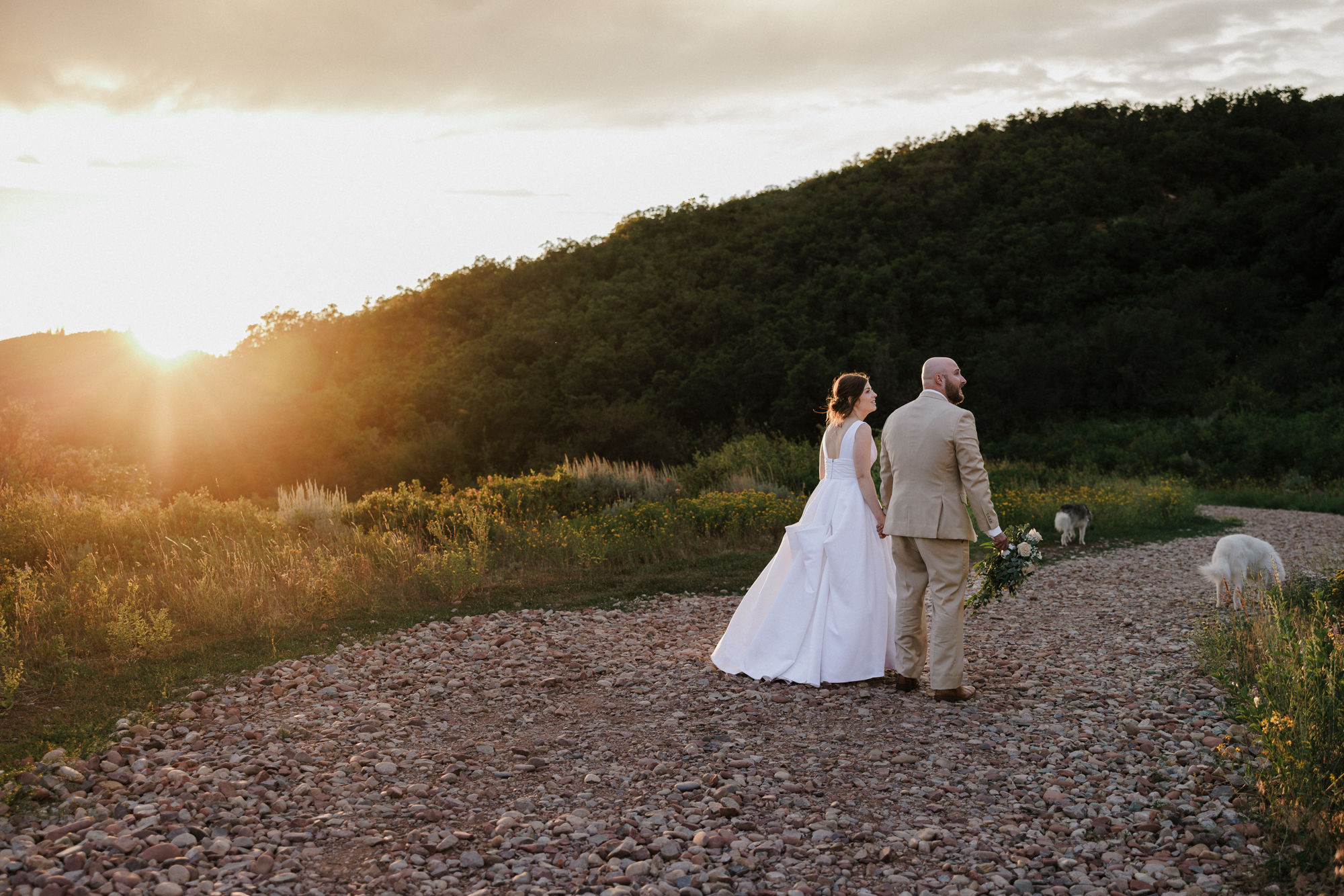 bride, groom, and dogs walk along road during sunset