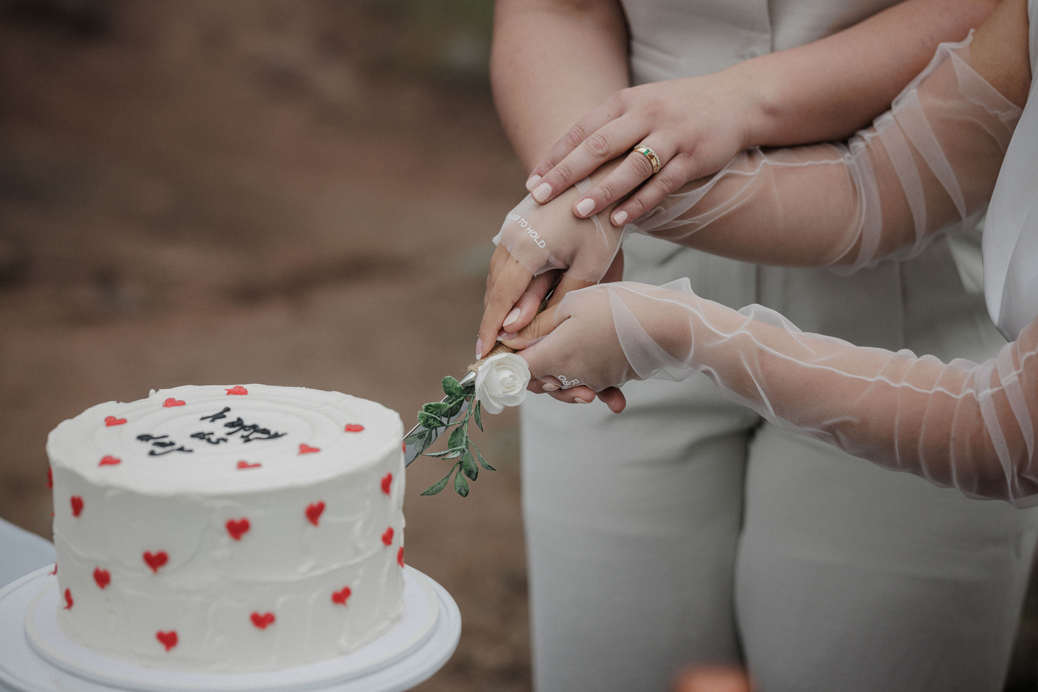 two brides cut into wedding cake in boulder colorado mountains