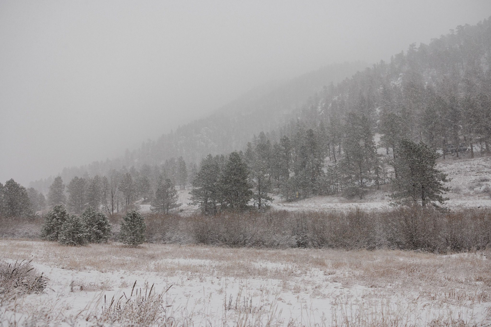 snowy yard in winter at colorado airbnb