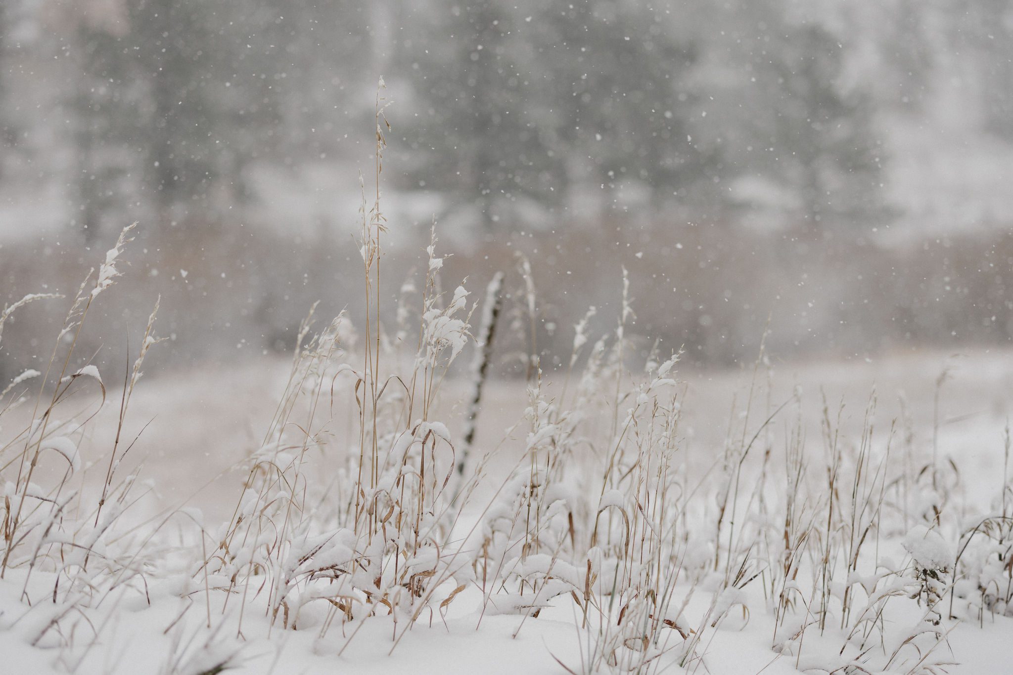 snow on ground at colorado airbnb