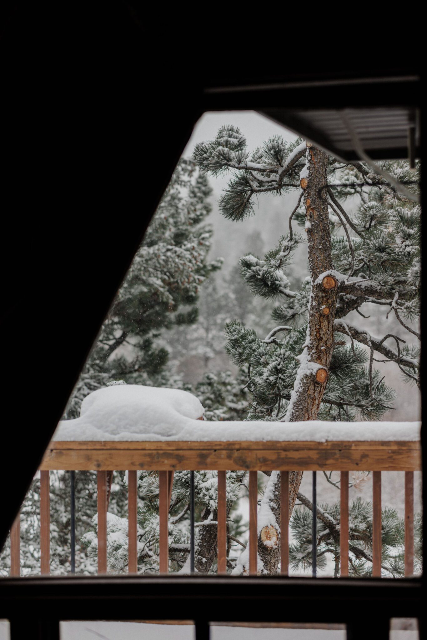 looking out of a window at snowy trees in a colorado airbnb before a wedding