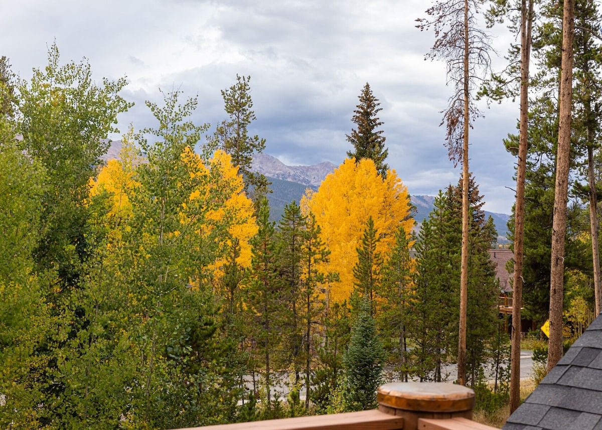 colorado fall wedding venue surrounded by aspen trees