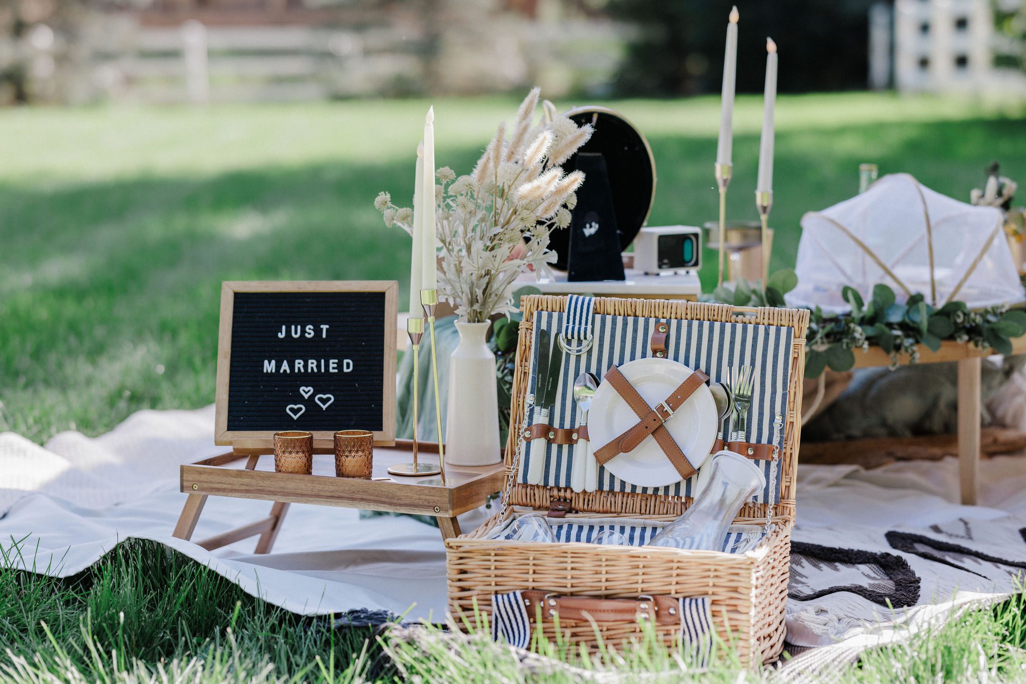 two brides embraced the modern meaning of 'elope' and have a luxury picnic. close up image of picnic