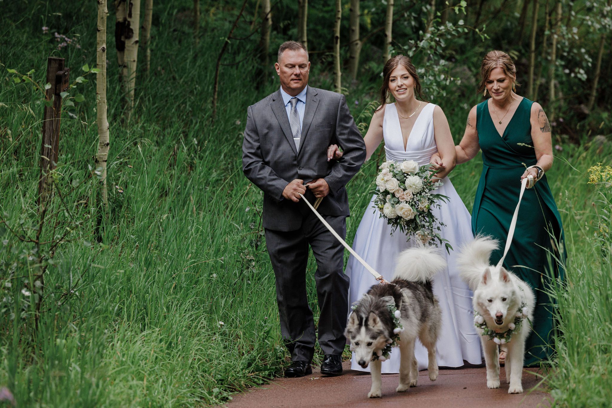 brides parents and dogs walk her down the aisle of her elopement at maroon bells