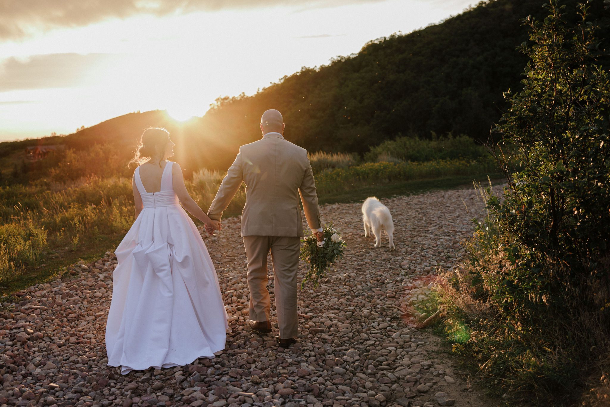 bride, groom, and dogs take a walk after their backyard wedding ceremomy