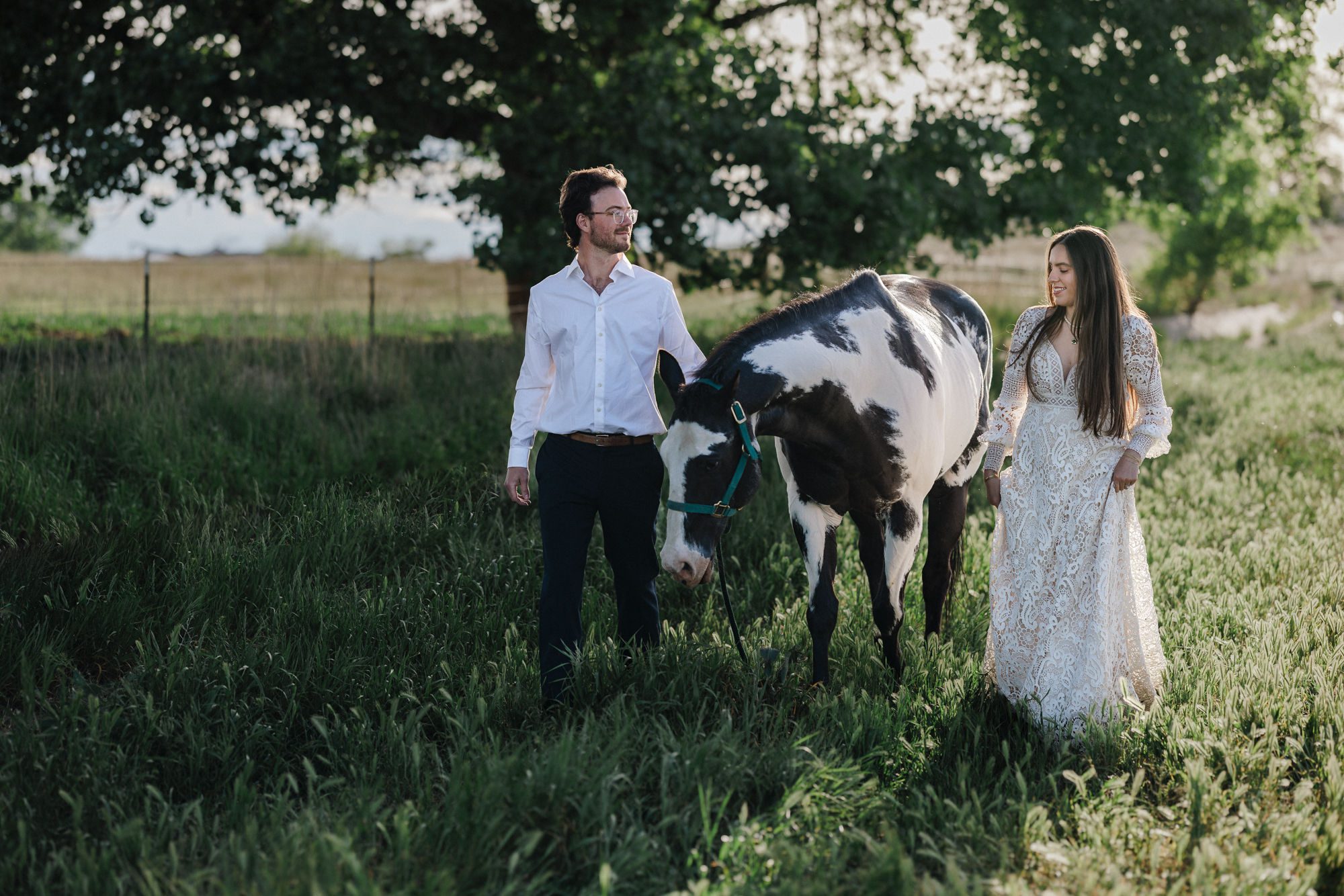 bride and groom walk through field with horse during their elopement in colorado